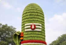 चोपड्यात महाशिवरात्री निमित्त १८ फूट उंच कच्च्या केळ्यांपासून साकारण्यात येणार भव्य महाशिवलिंग; १५ ते १८ फेब्रुवारीदरम्यान दर्शनाची सुवर्णसंधी