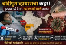 गुजरातमध्ये चांदीपुरा व्हायरसचा कहर; महाराष्ट्रातही वाढली सतर्कता, लहान मुलांच्या आरोग्याबाबत खबरदारी घेण्याचे आवाहन