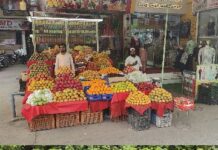 हुतात्मा स्मारक परिसरातील घाणीच्या साम्राज्याकडे दुर्लक्ष; मूळ प्रश्न सोडून इतरांवर कारवाई का? पत्रकार संदीप महाजन यांचा सवाल